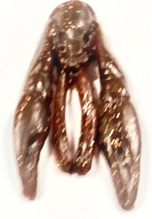 Brown Jig Craw Trailer